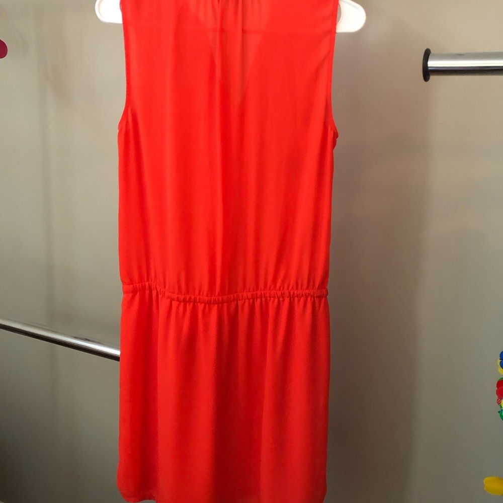 Red Dress - Picture 6 of 6